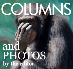 Editor's Columns and Photos